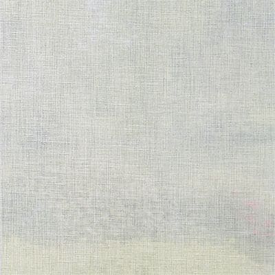 Schiebegardine Julia Grau 60x245 cm